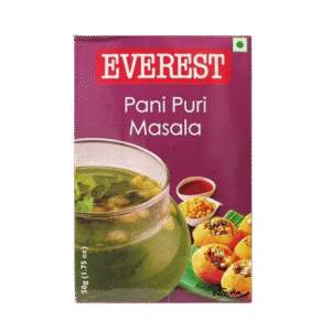 EVEREST PANIPURI MASALA 100GM